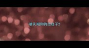 哺乳期狗狗拉肚子