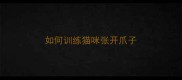 如何训练猫咪张开爪子