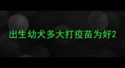 出生幼犬多大打疫苗为好