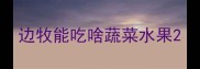 边牧能吃啥蔬菜水果