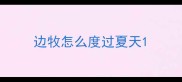 边牧怎么度过夏天