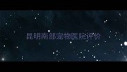 昆明南部宠物医院评价