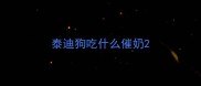 泰迪狗吃什么催奶