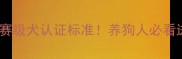 哈士奇赛级犬认证标准养狗人必看进阶指南