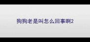 狗狗老是叫怎么回事啊