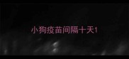 小狗疫苗间隔十天