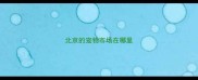 北京的宠物市场在哪里