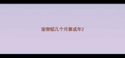 宠物貂几个月算成年