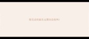 陨石边牧能生出黑白边牧吗