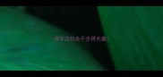 成年边牧会不会得犬瘟