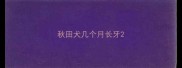 秋田犬几个月长牙