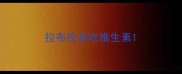 拉布拉多吃维生素