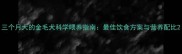 三个月大的金毛犬科学喂养指南最佳饮食方案与营养配比