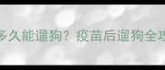 萨摩耶两针疫苗后多久能遛狗疫苗后遛狗全攻略附注意事项