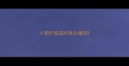 小狗打疫苗时候会痛吗