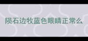 陨石边牧蓝色眼睛正常么