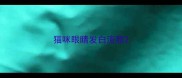 猫咪眼睛发白流脓