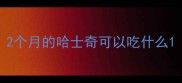 2个月的哈士奇可以吃什么
