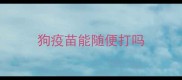 狗疫苗能随便打吗