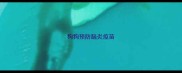 狗狗预防脑炎疫苗