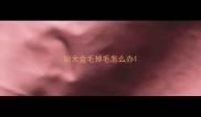 幼犬金毛掉毛怎么办