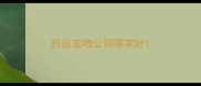 托运宠物公司哪家好