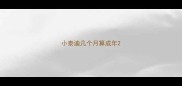 小泰迪几个月算成年
