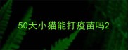 50天小猫能打疫苗吗