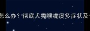 狗狗喉咙有痰怎么办彻底犬类喉咙痰多症状及专业护理指南