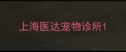 上海医达宠物诊所