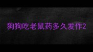 狗狗吃老鼠药多久发作