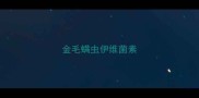 金毛螨虫伊维菌素