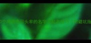 哈士奇女孩名推荐20个高萌高回头率的名字及起名技巧附避坑指南宠物起名攻略