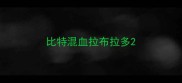 比特混血拉布拉多