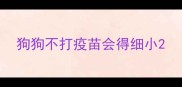 狗狗不打疫苗会得细小