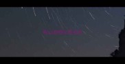 鞍山宠物交易信息