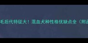拉布拉多金毛后代特征大混血犬种性格优缺点全附品种对比图