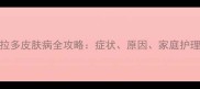幼犬拉布拉多皮肤病全攻略症状原因家庭护理与就医指南
