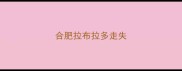 合肥拉布拉多走失