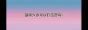 猫咪六岁可以打疫苗吗