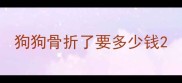 狗狗骨折了要多少钱