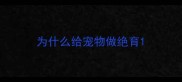 为什么给宠物做绝育