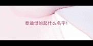 泰迪母的起什么名字