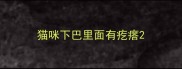 猫咪下巴里面有疙瘩