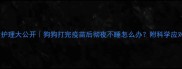 疫苗后护理大公开狗狗打完疫苗后彻夜不睡怎么办附科学应对指南