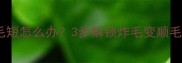 边境牧羊犬毛短怎么办3步解锁炸毛变顺毛的养护秘籍