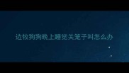 边牧狗狗晚上睡觉关笼子叫怎么办