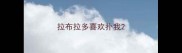拉布拉多喜欢扑我