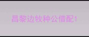 昌黎边牧种公借配