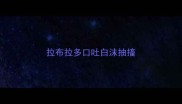 拉布拉多口吐白沫抽搐